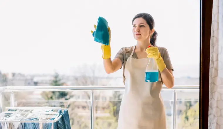 HOUSE CLEANING SERVICES IN PLYMOUTH