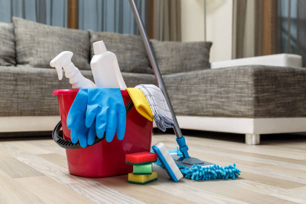 providing cleaning services with the best products in home in canton michigan