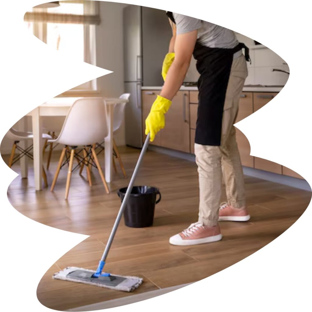 domestic cleaning canton